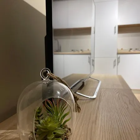 Apartment 布加勒斯特